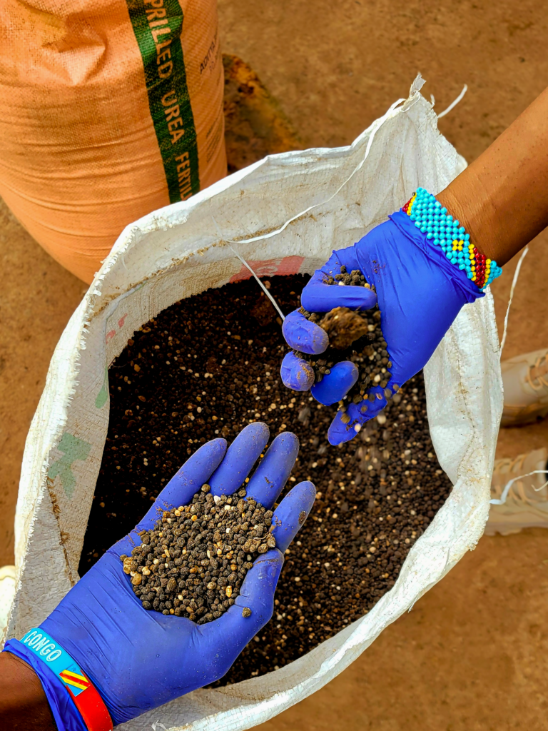 Gloved hands holding fertilizer granules from a distribution sack