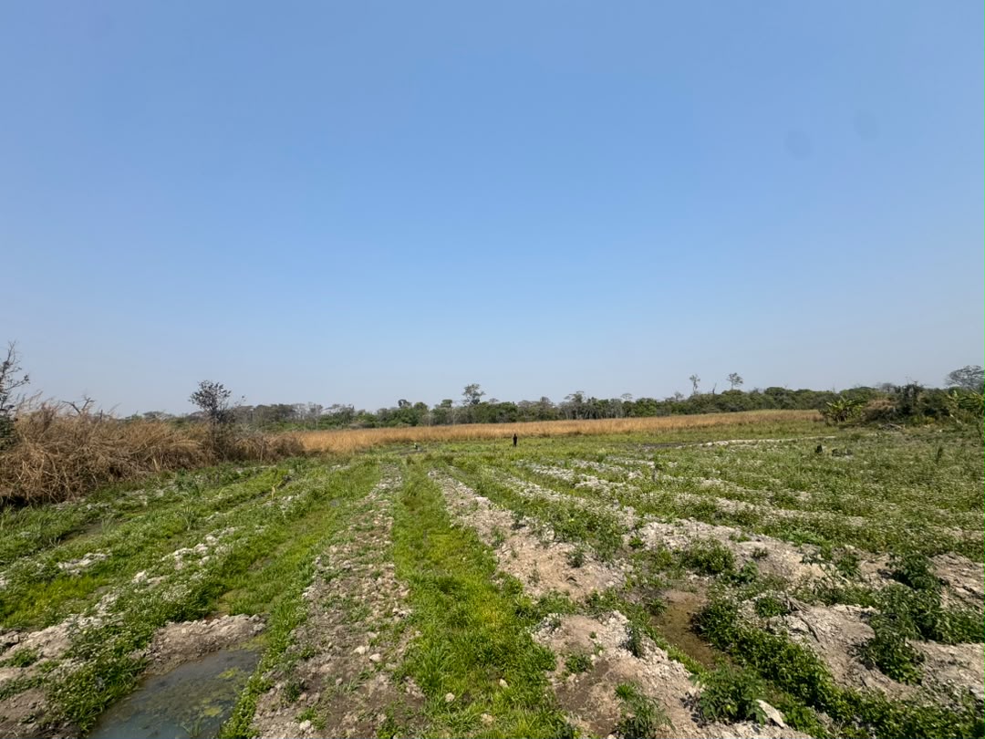 Sponsor a Project - Hope G.C.L.M. field work